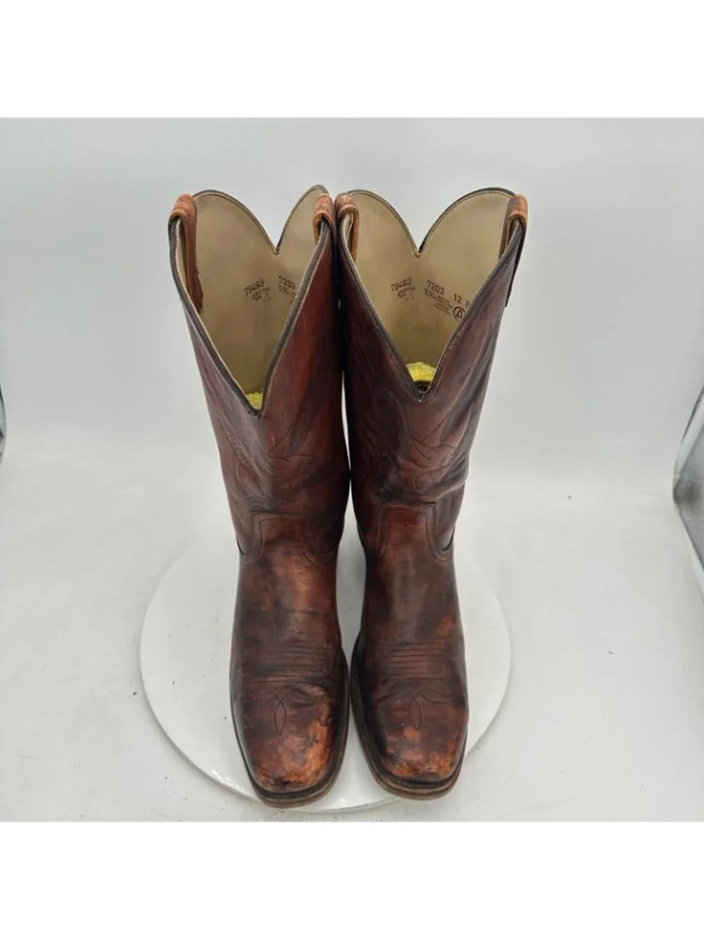 dingo size 12